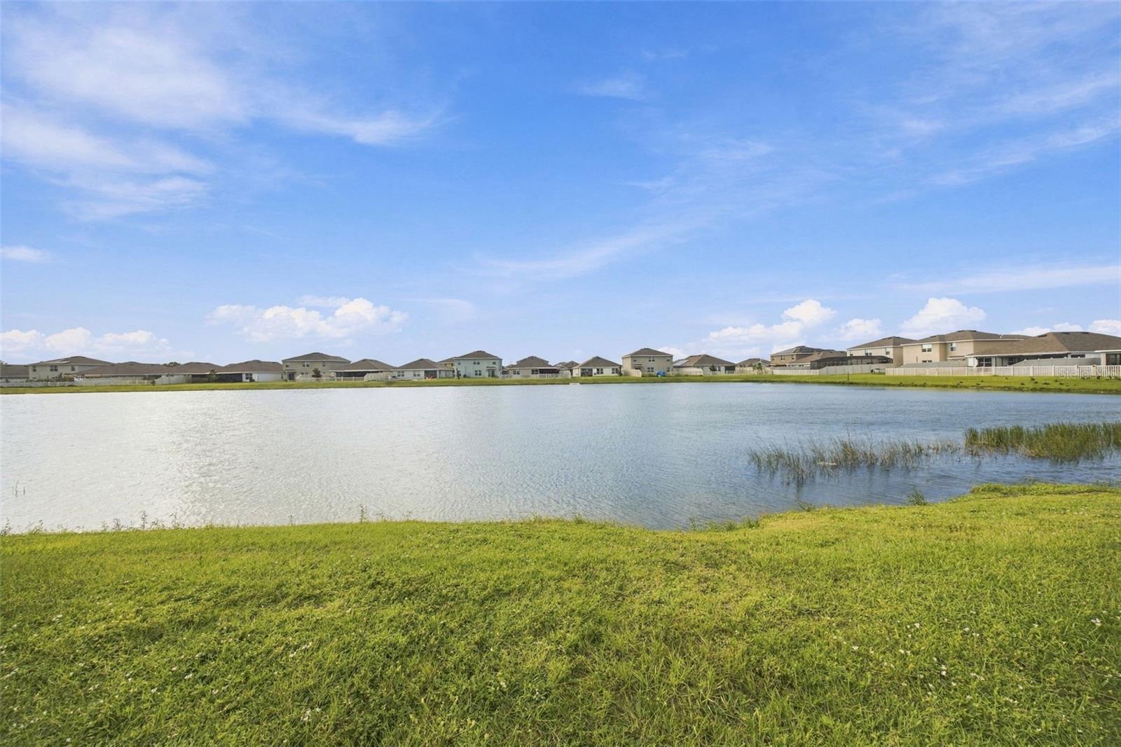 16739 Sunburst Lake St Property Photo 2