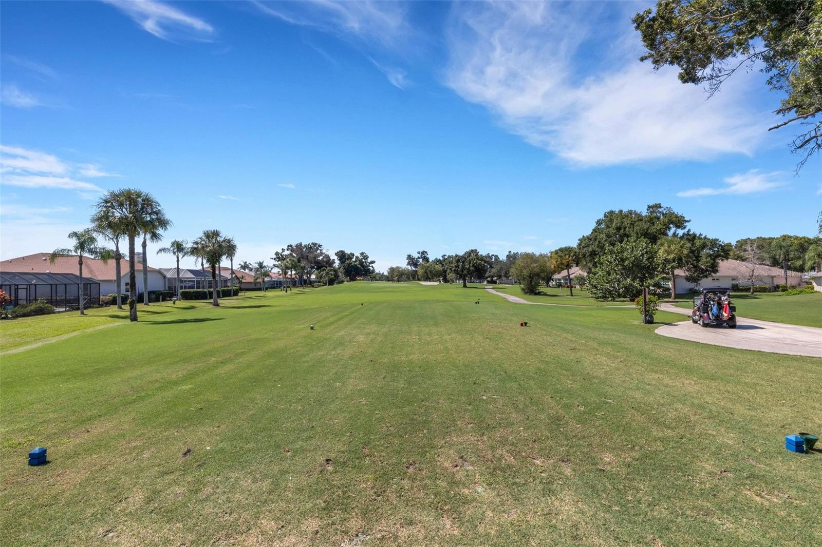4806 Peridia Blvd E Property Photo 82