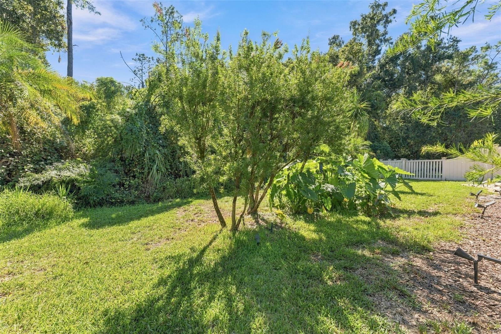 21916 Waverly Shores Ln Property Photo 52