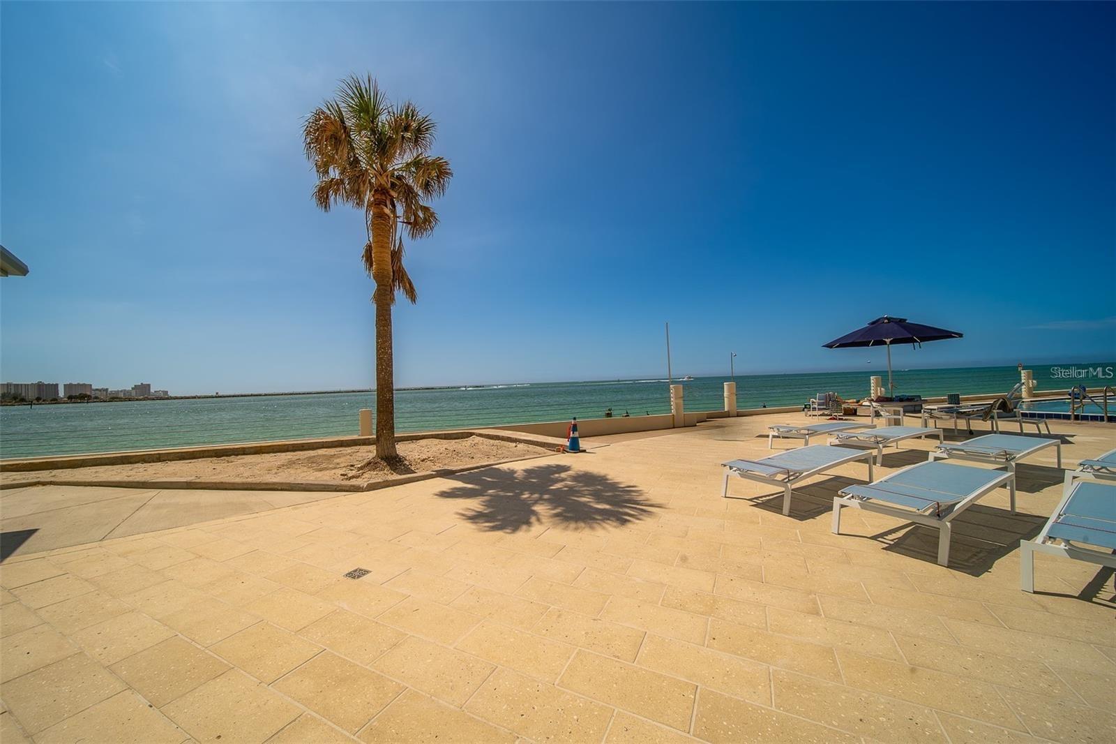 450 S Gulfview Blvd #1206 Property Photo 7