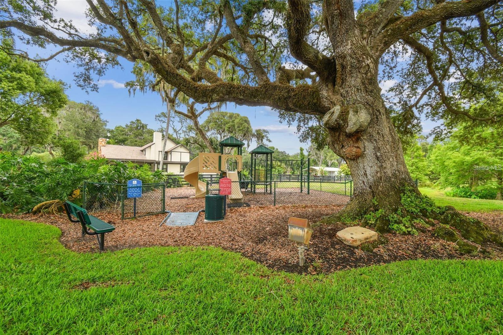 12125 Stonelake Ranch Blvd Property Photo 69