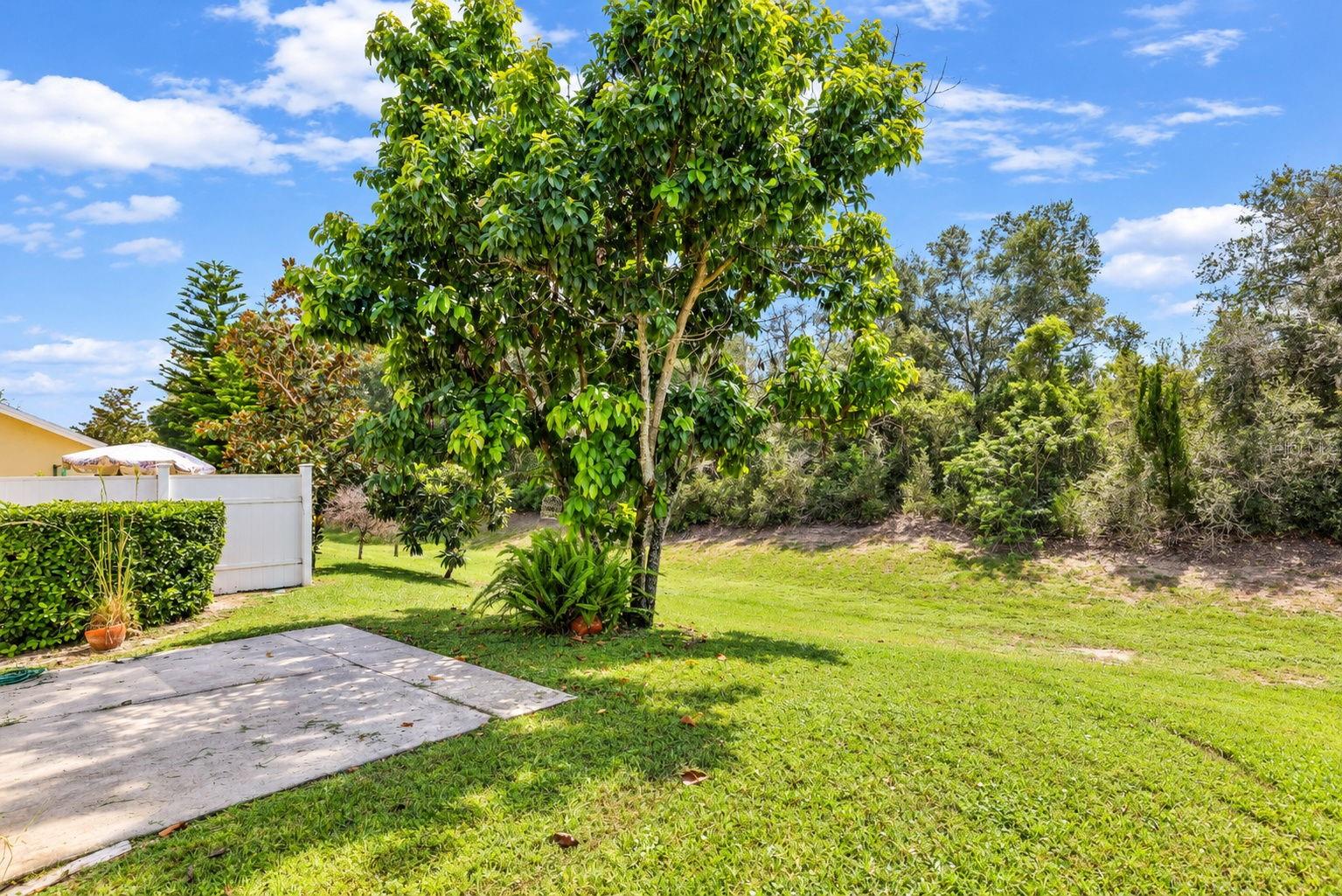 8524 Corinthian Way Property Photo 14