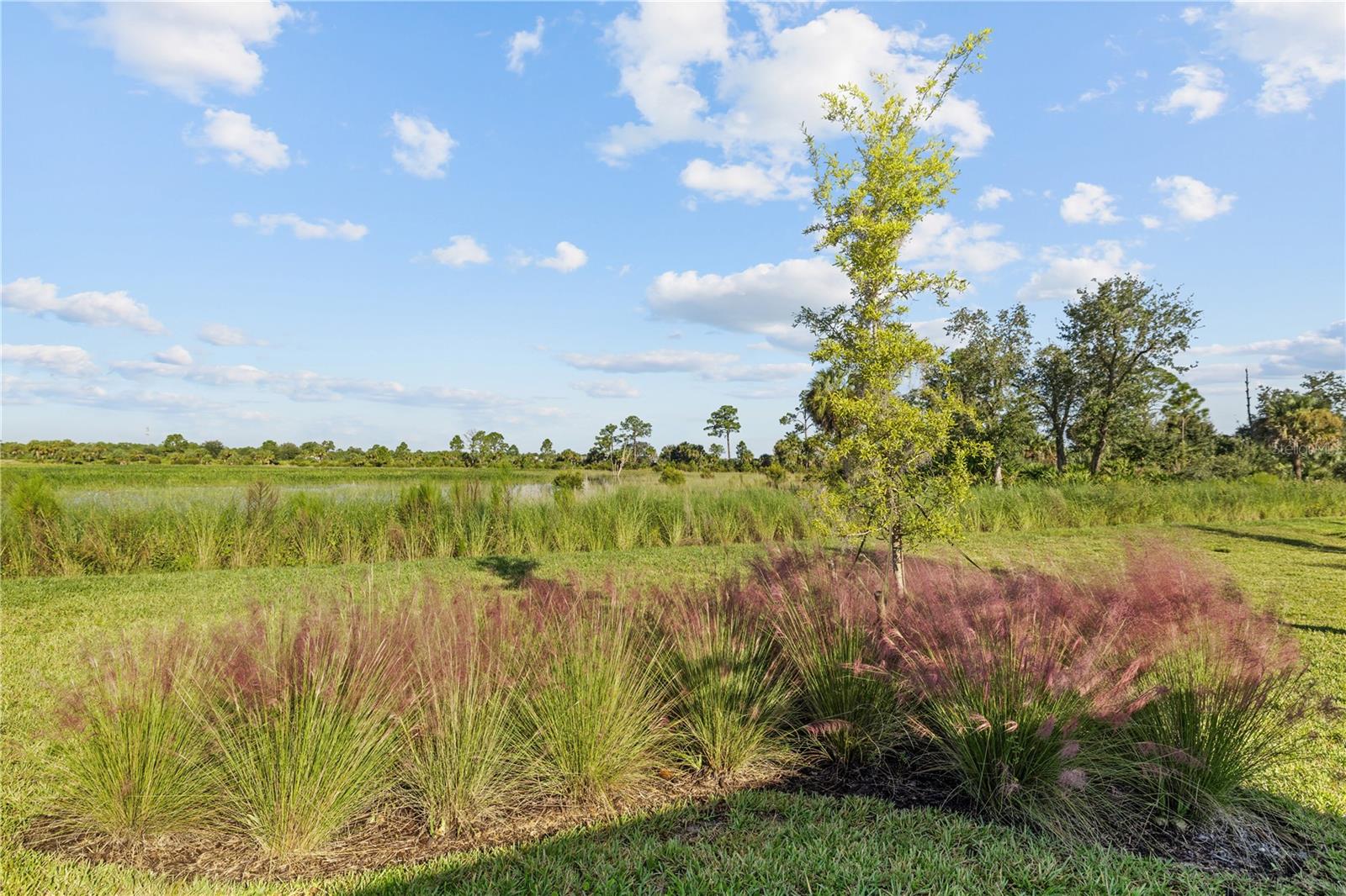 17740 Shade Tree Loop Property Photo 6