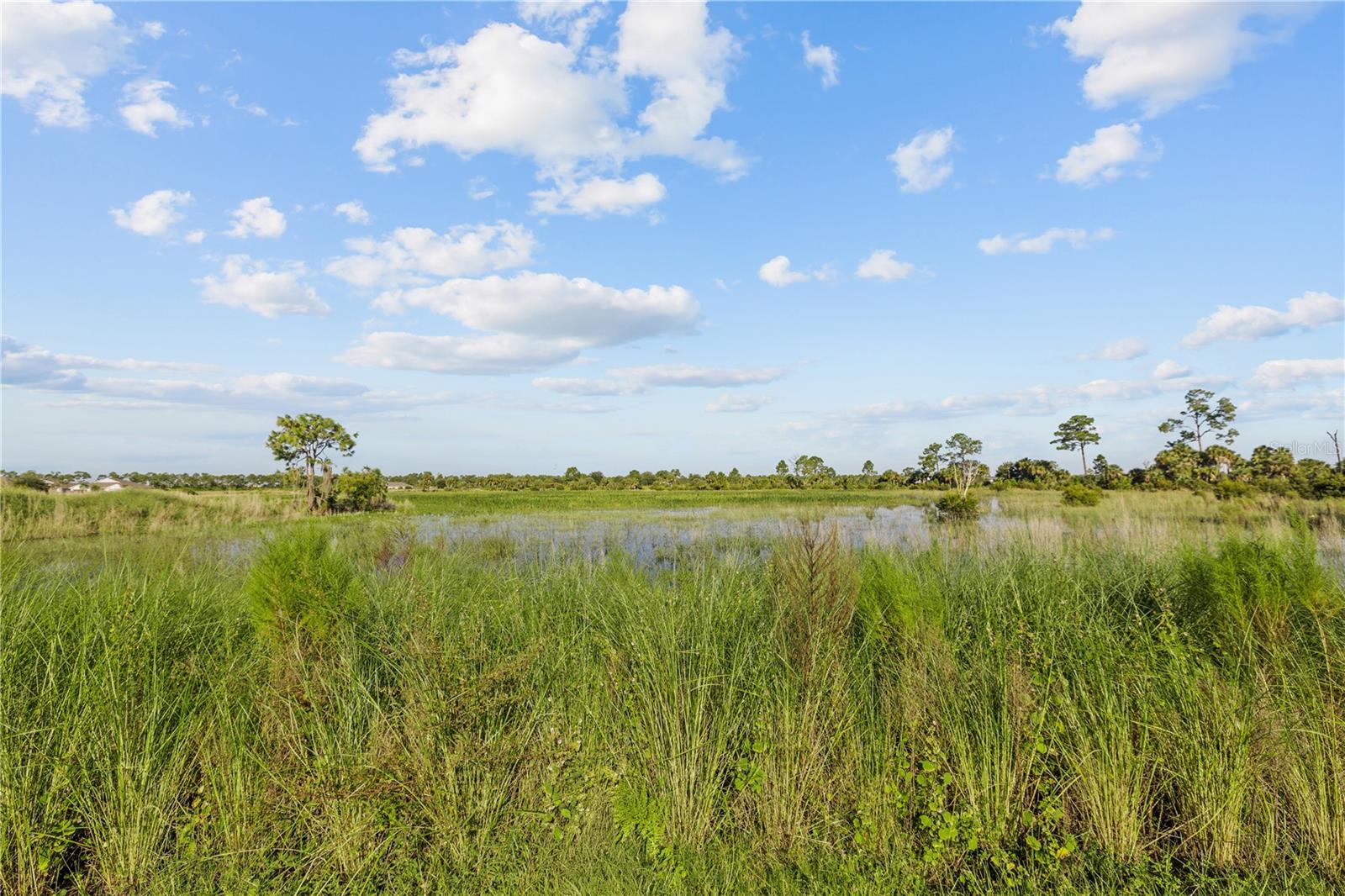 17740 Shade Tree Loop Property Photo 32