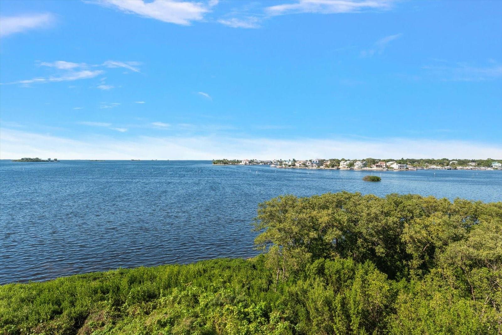 2700 Bayshore Blvd #11404 Property Photo 3