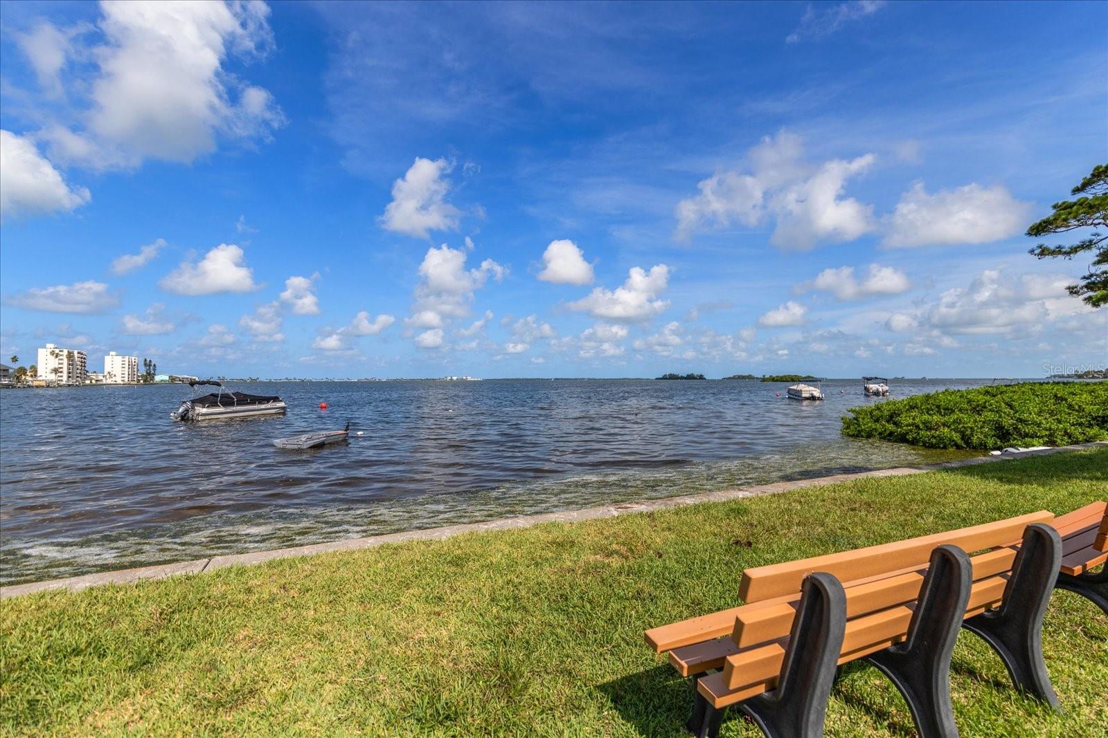 2700 Bayshore Blvd #11404 Property Photo 28