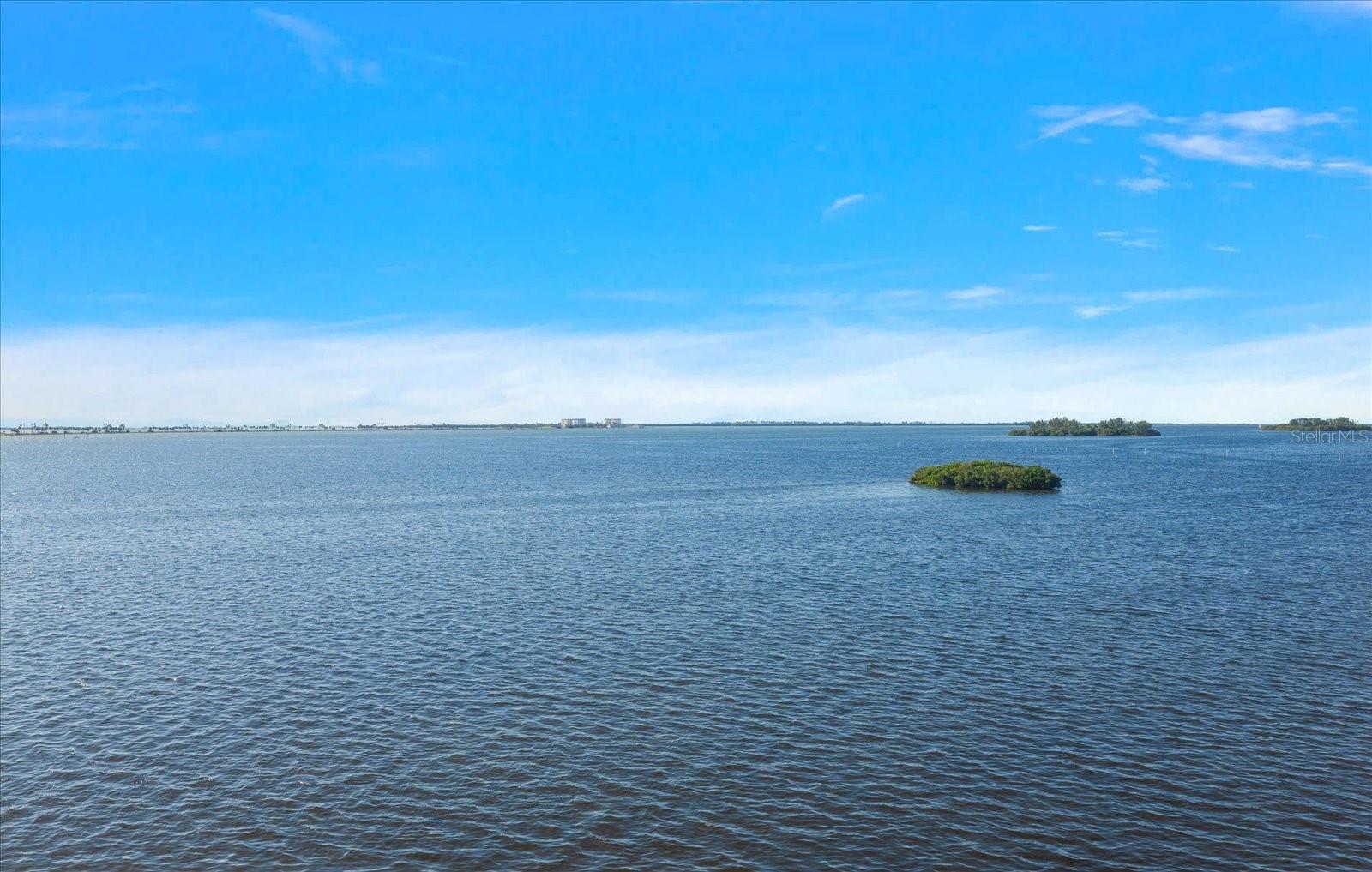 2700 Bayshore Blvd #11404 Property Photo 29