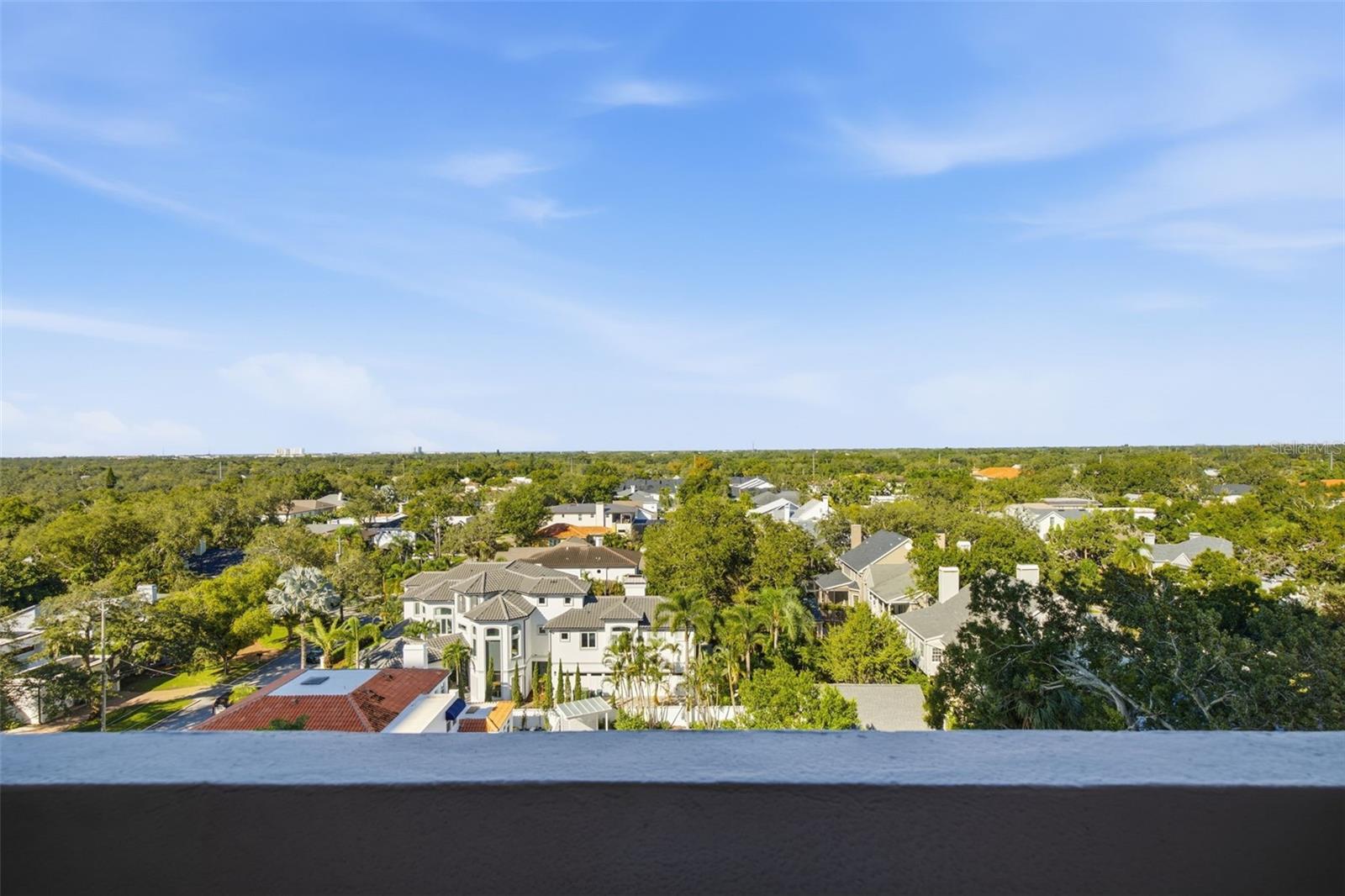 4141 Bayshore Blvd #905 Property Photo 21