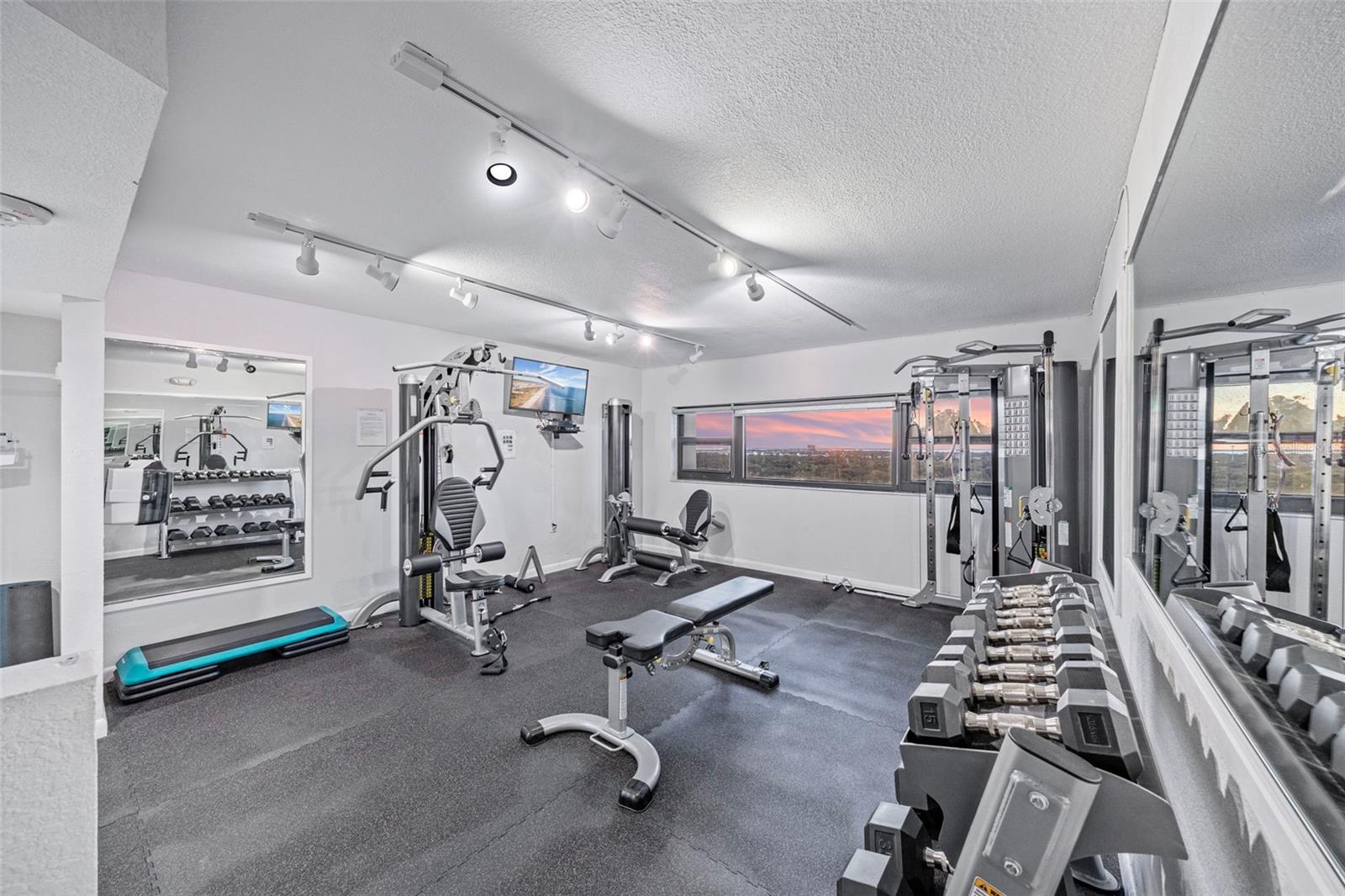 4141 Bayshore Blvd #905 Property Photo 29