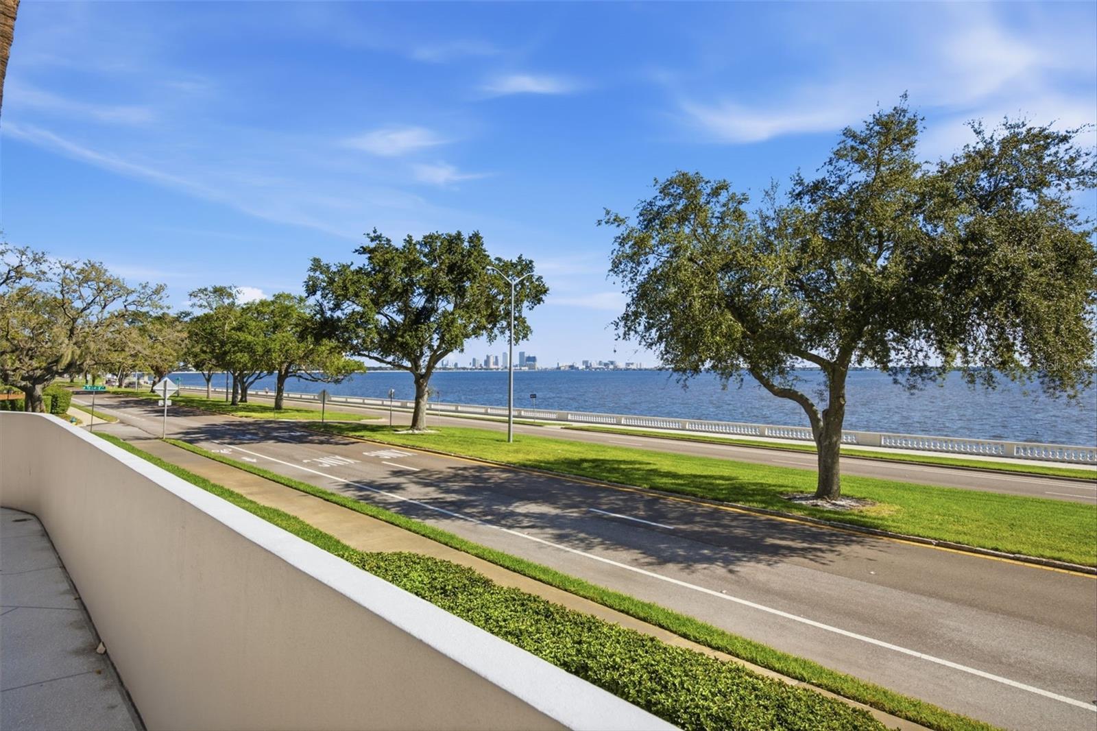 4141 Bayshore Blvd #905 Property Photo 39