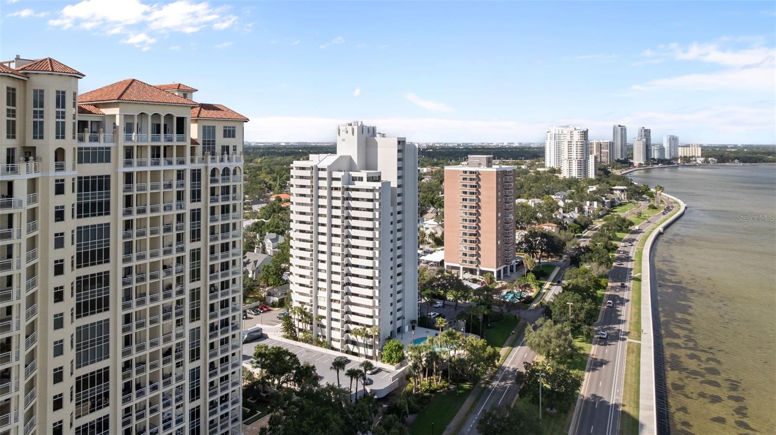 4141 Bayshore Blvd #905 Property Photo 40