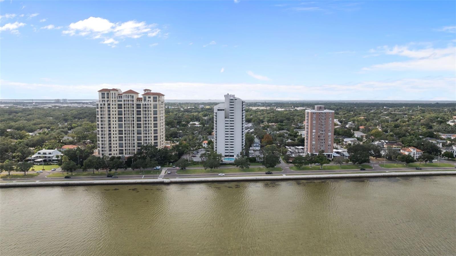 4141 Bayshore Blvd #905 Property Photo 41