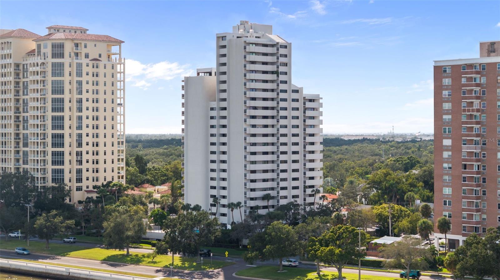 4141 Bayshore Blvd #905 Property Photo 44