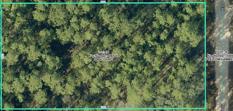 18379 MACEK RD Property Photo 1