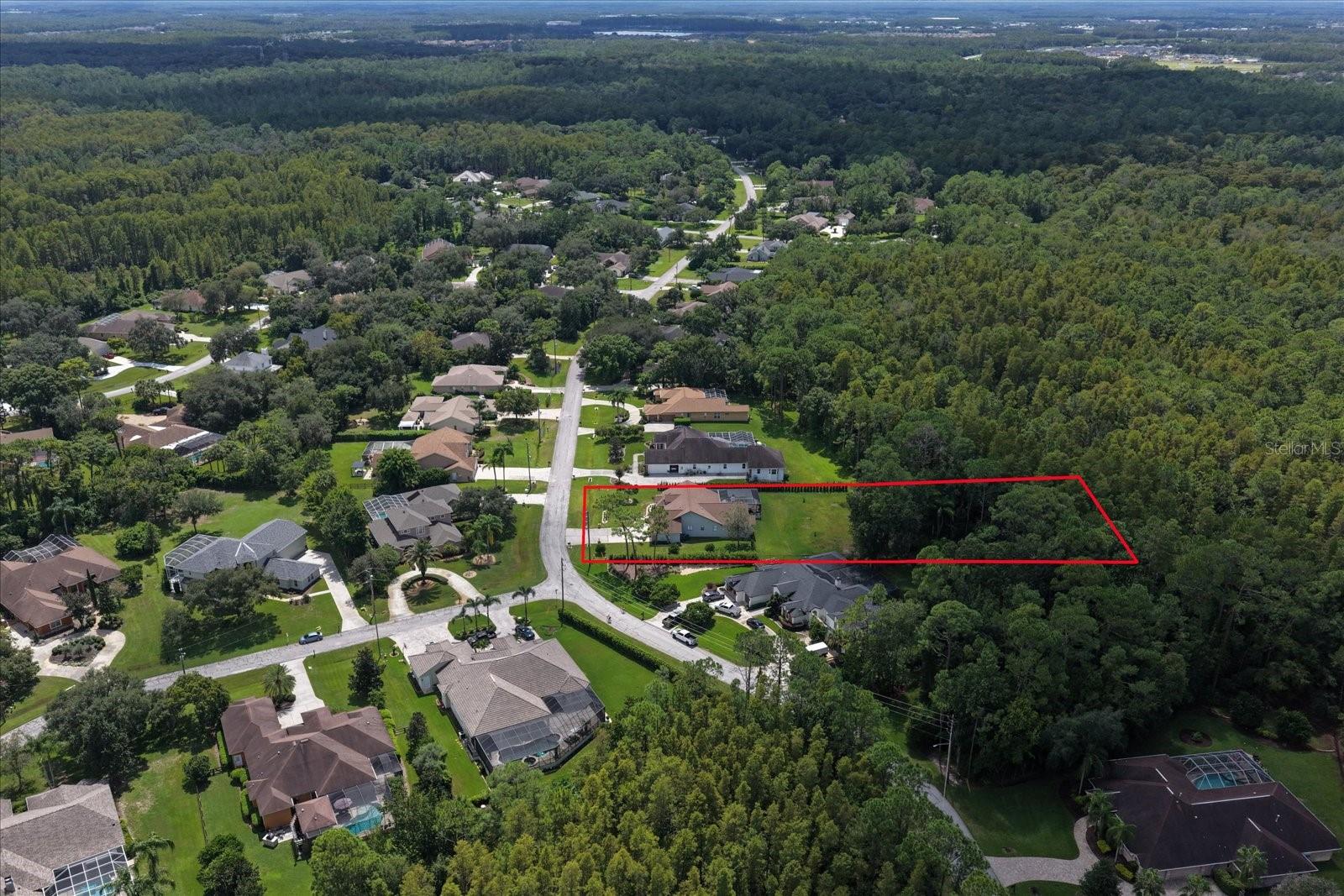 10706 Alico Pass Property Photo 4