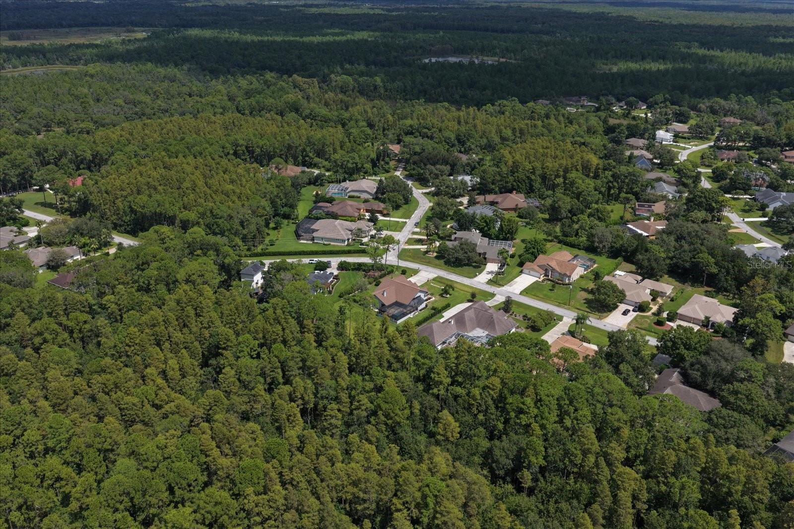 10706 Alico Pass Property Photo 6