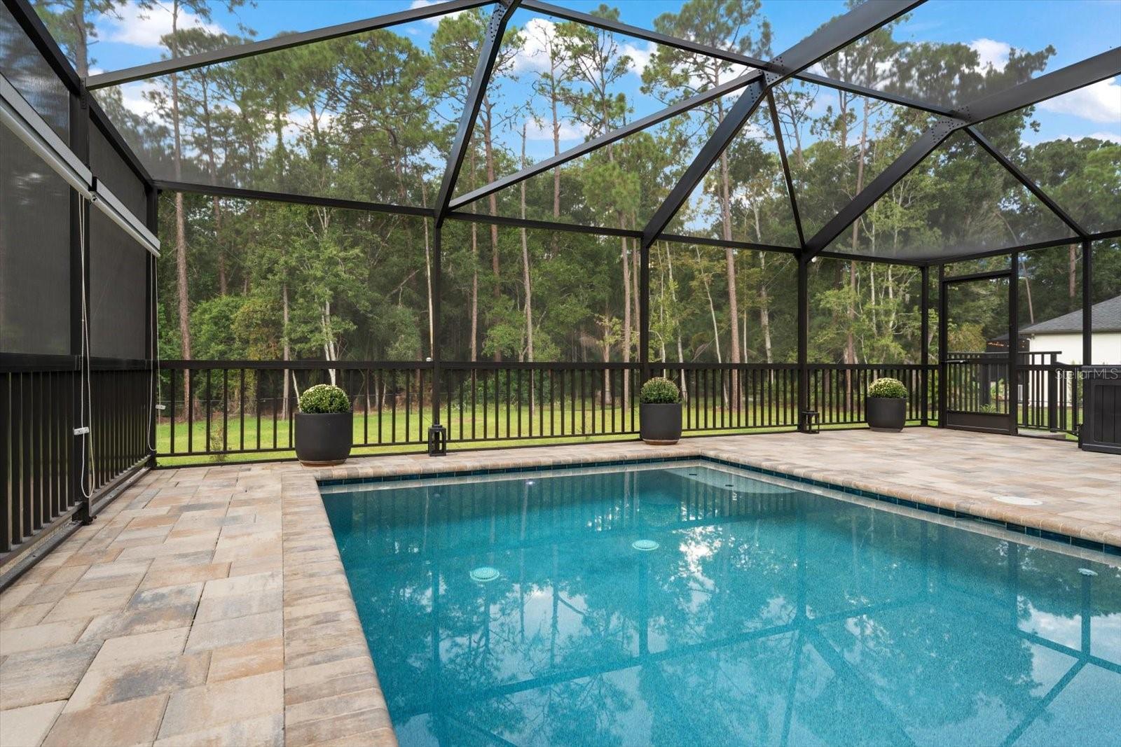 10706 Alico Pass Property Photo 46
