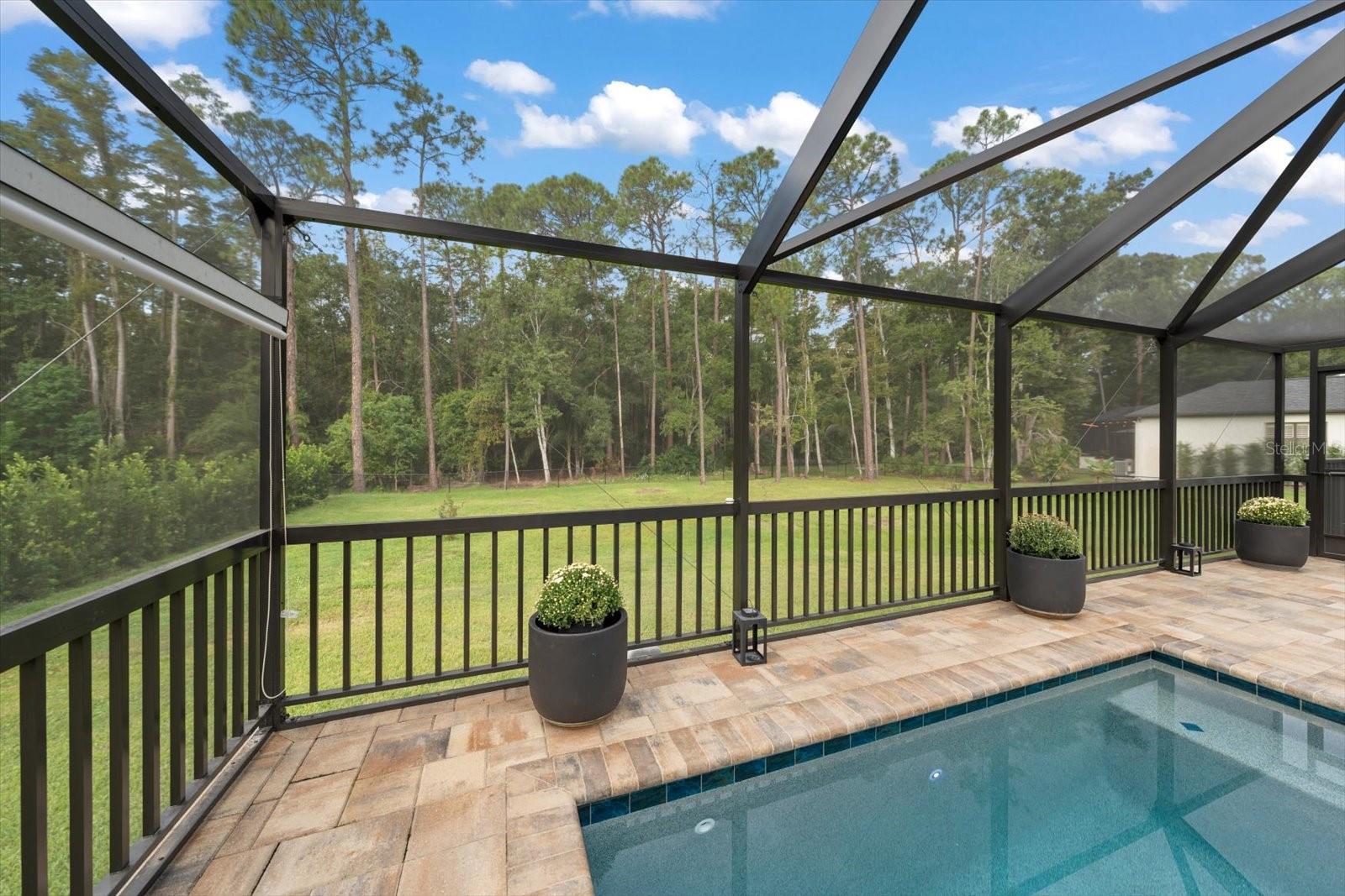 10706 Alico Pass Property Photo 48