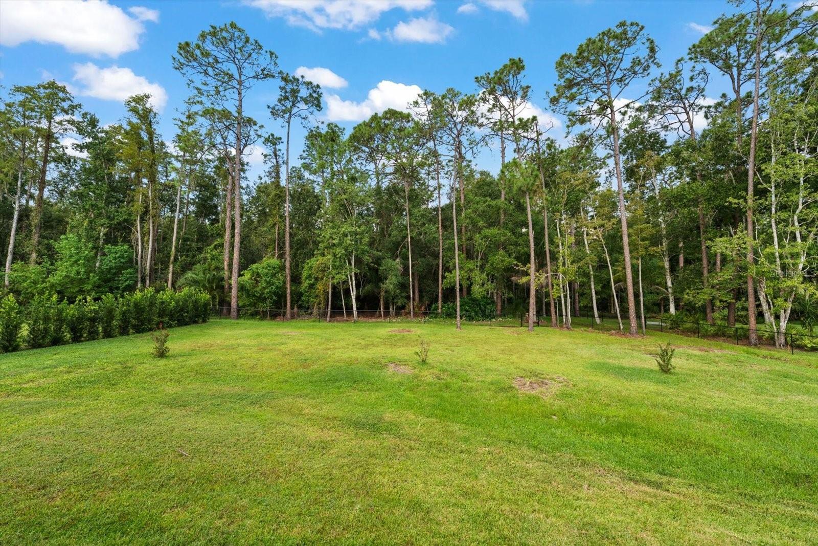 10706 Alico Pass Property Photo 57