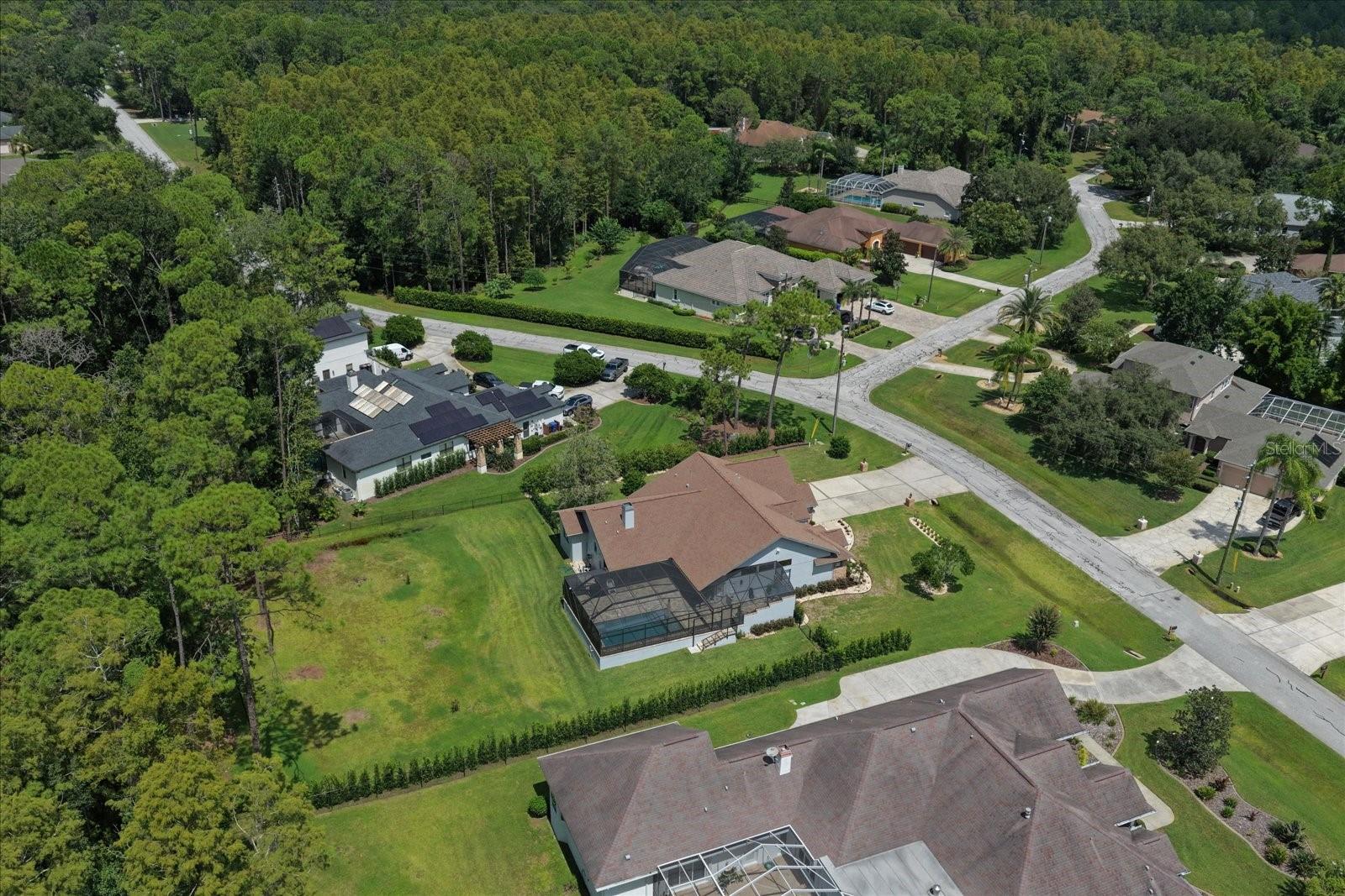 10706 Alico Pass Property Photo 58