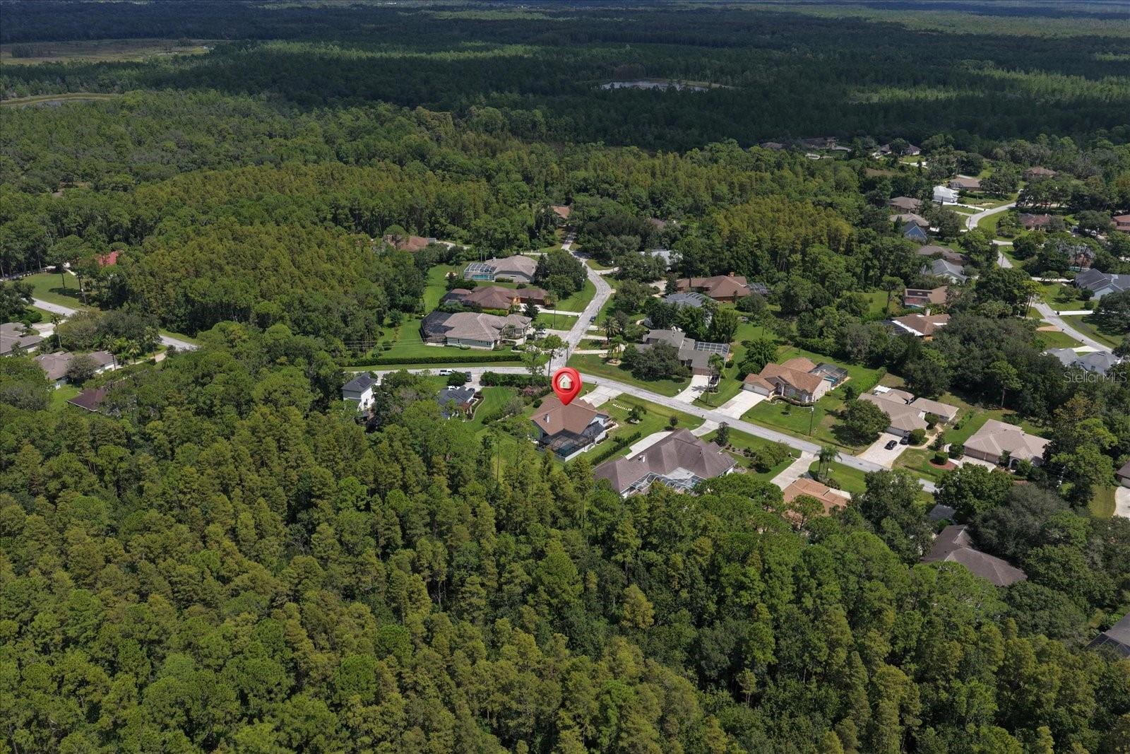 10706 Alico Pass Property Photo 59