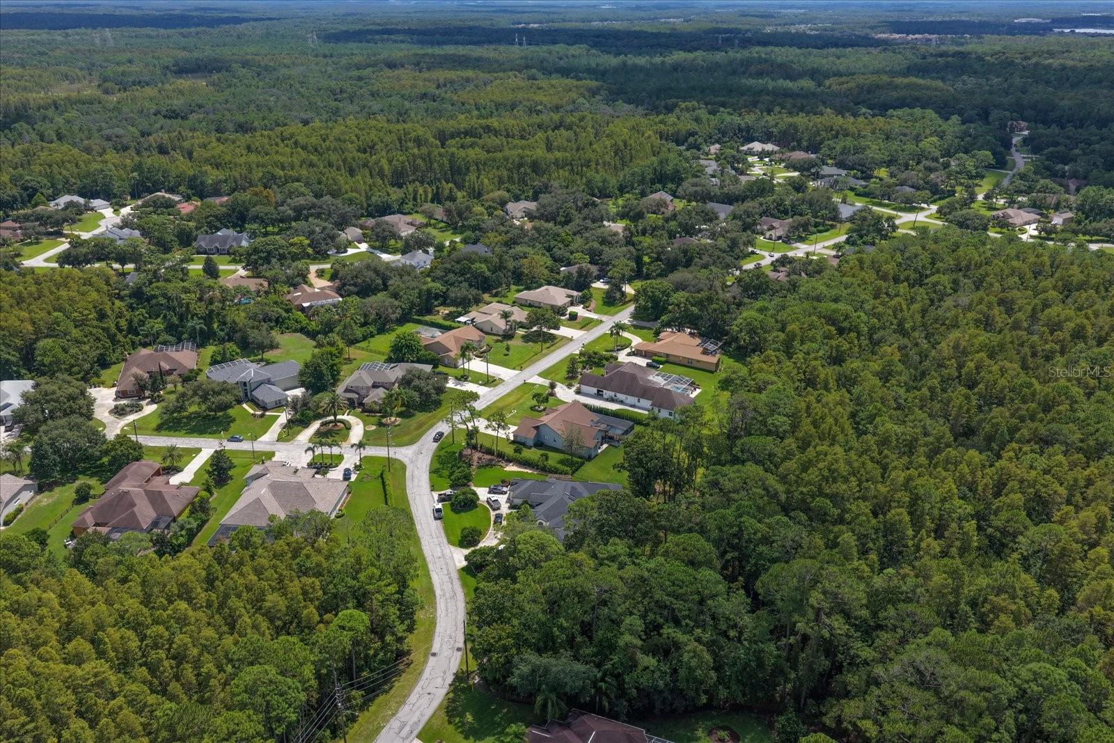 10706 Alico Pass Property Photo 60