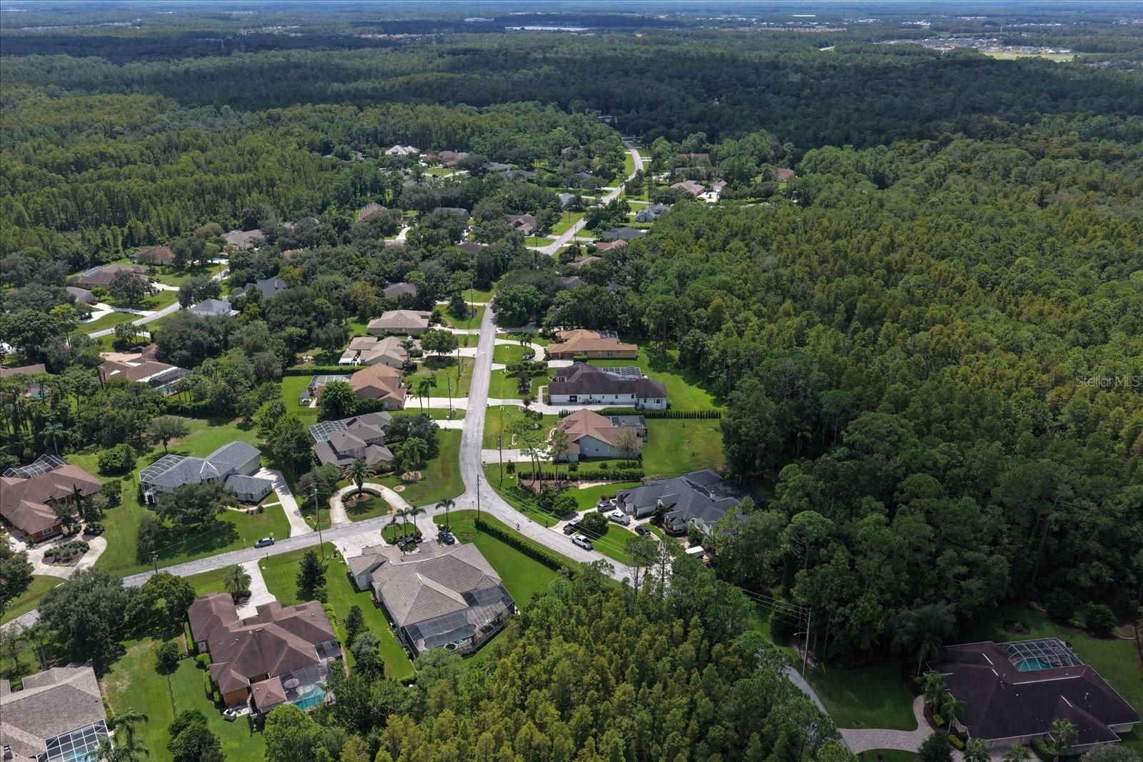 10706 Alico Pass Property Photo 61