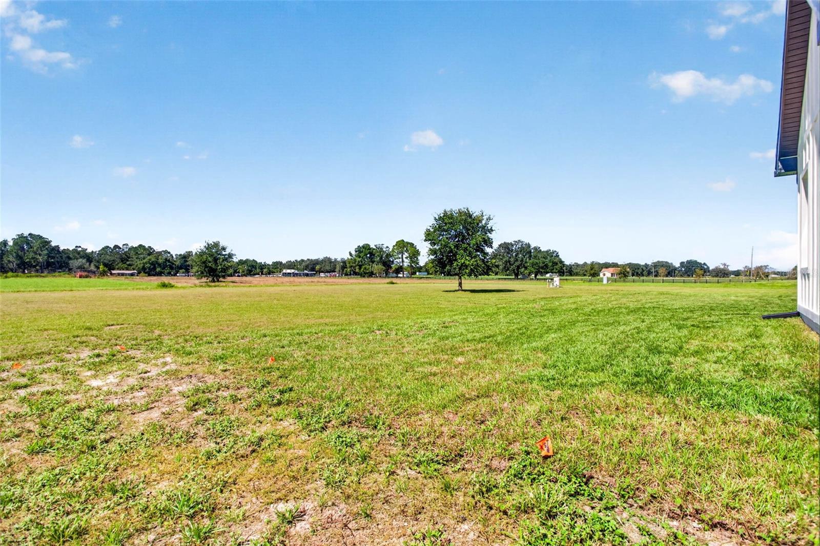 14927 Crimson Oaks Trail Property Photo 79