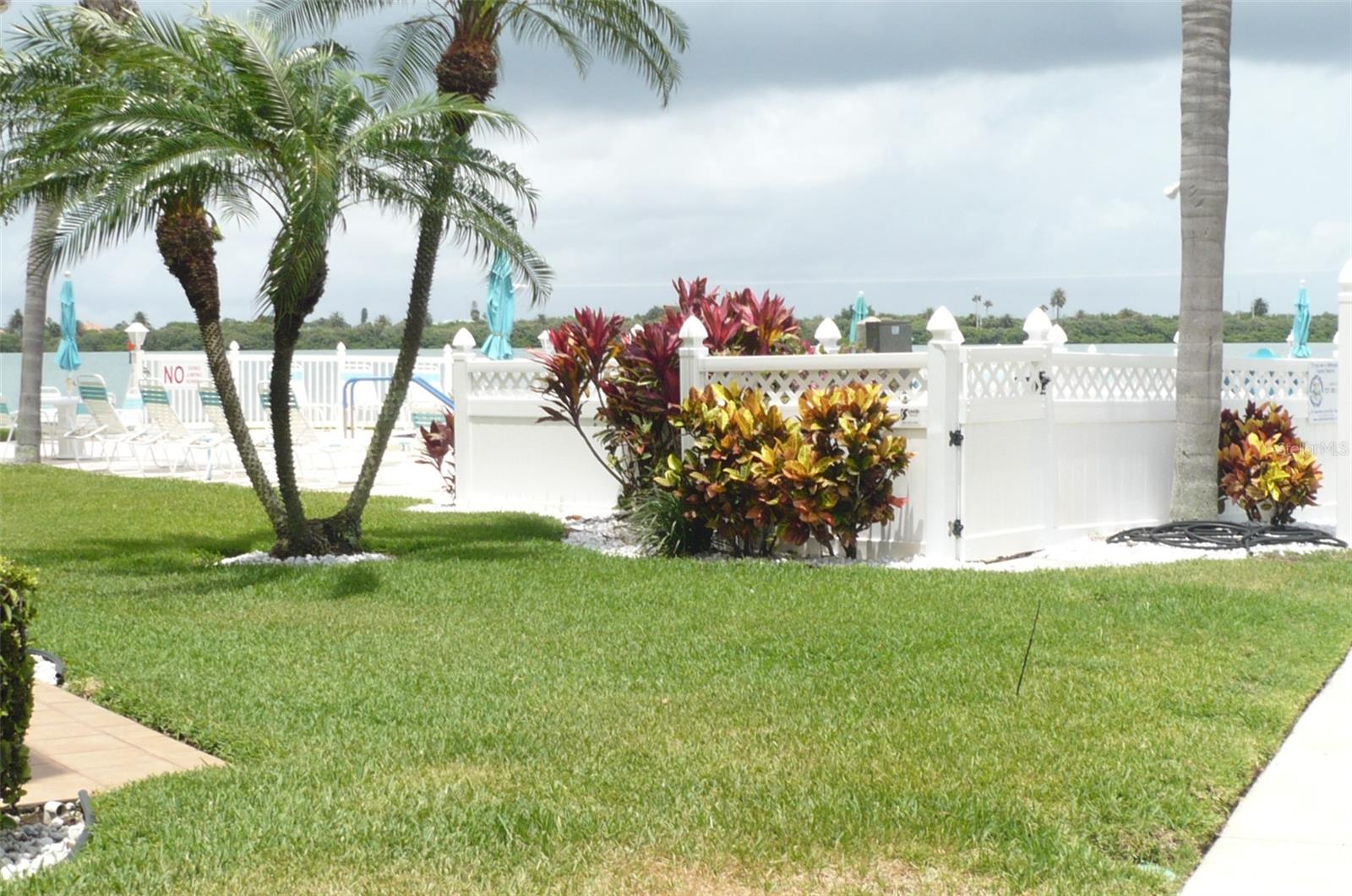 895 S Gulfview Blvd #203 Property Photo 14