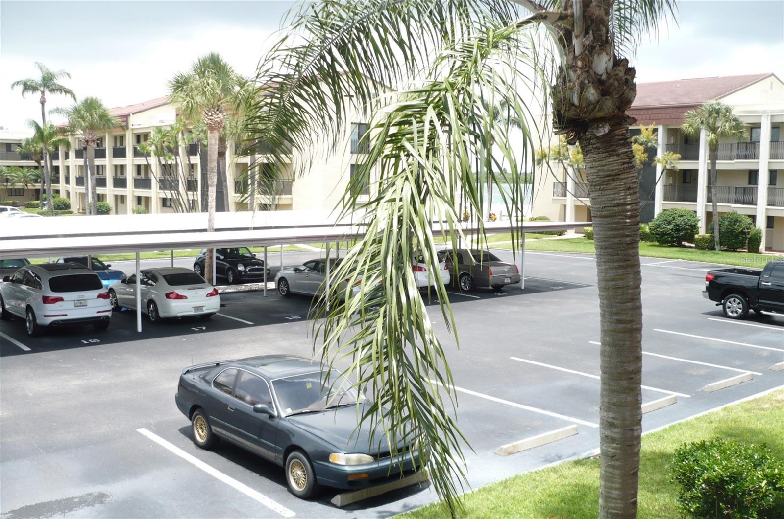 895 S Gulfview Blvd #203 Property Photo 36