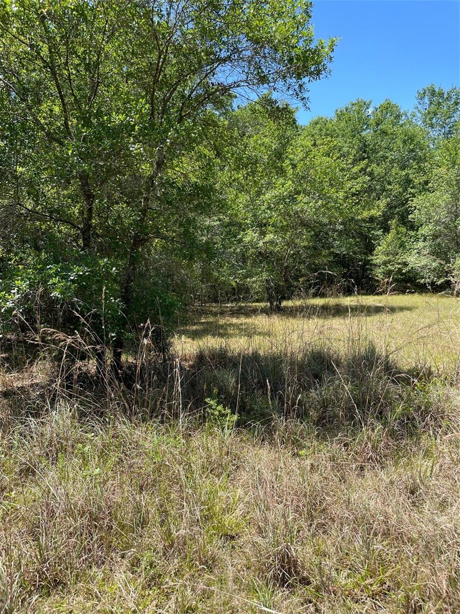9368 E Riveroak Ln Property Photo 1