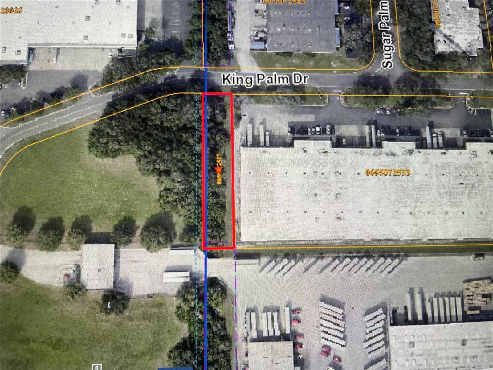 King Palm Dr Property Photo 1