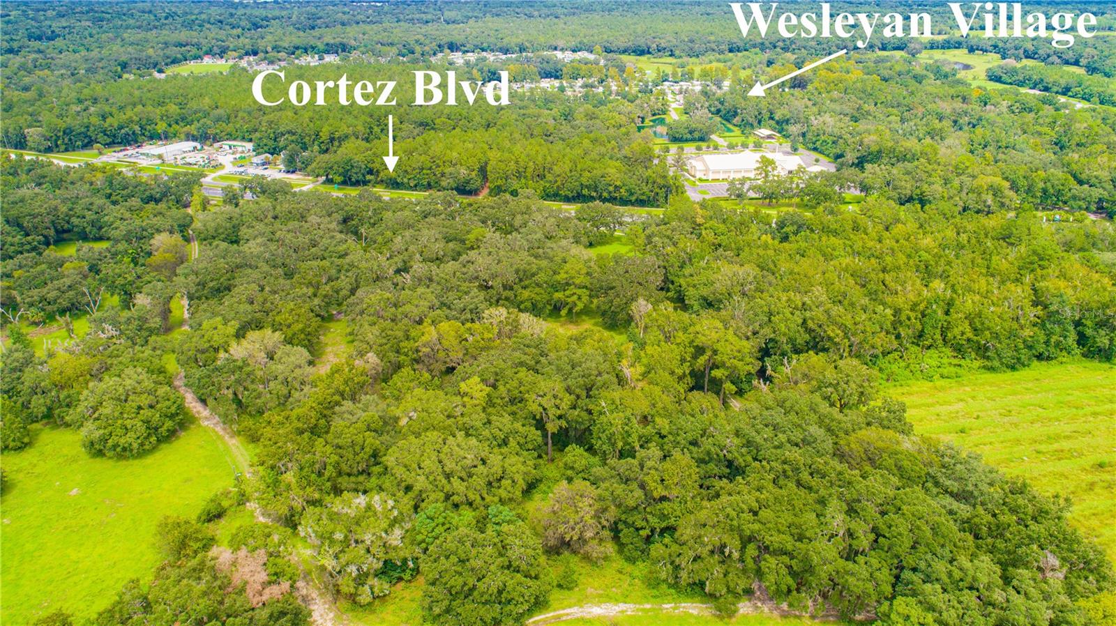 22374 Cortez Blvd Property Photo 47