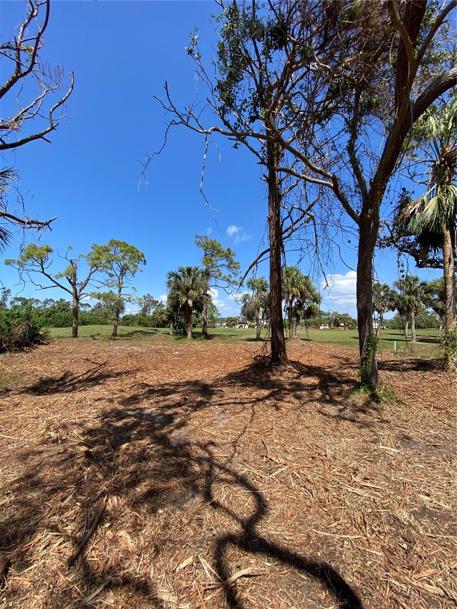 45 Long Meadow Pl Property Photo 4
