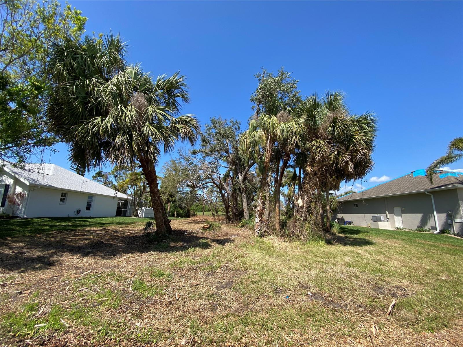 45 Long Meadow Pl Property Photo 6