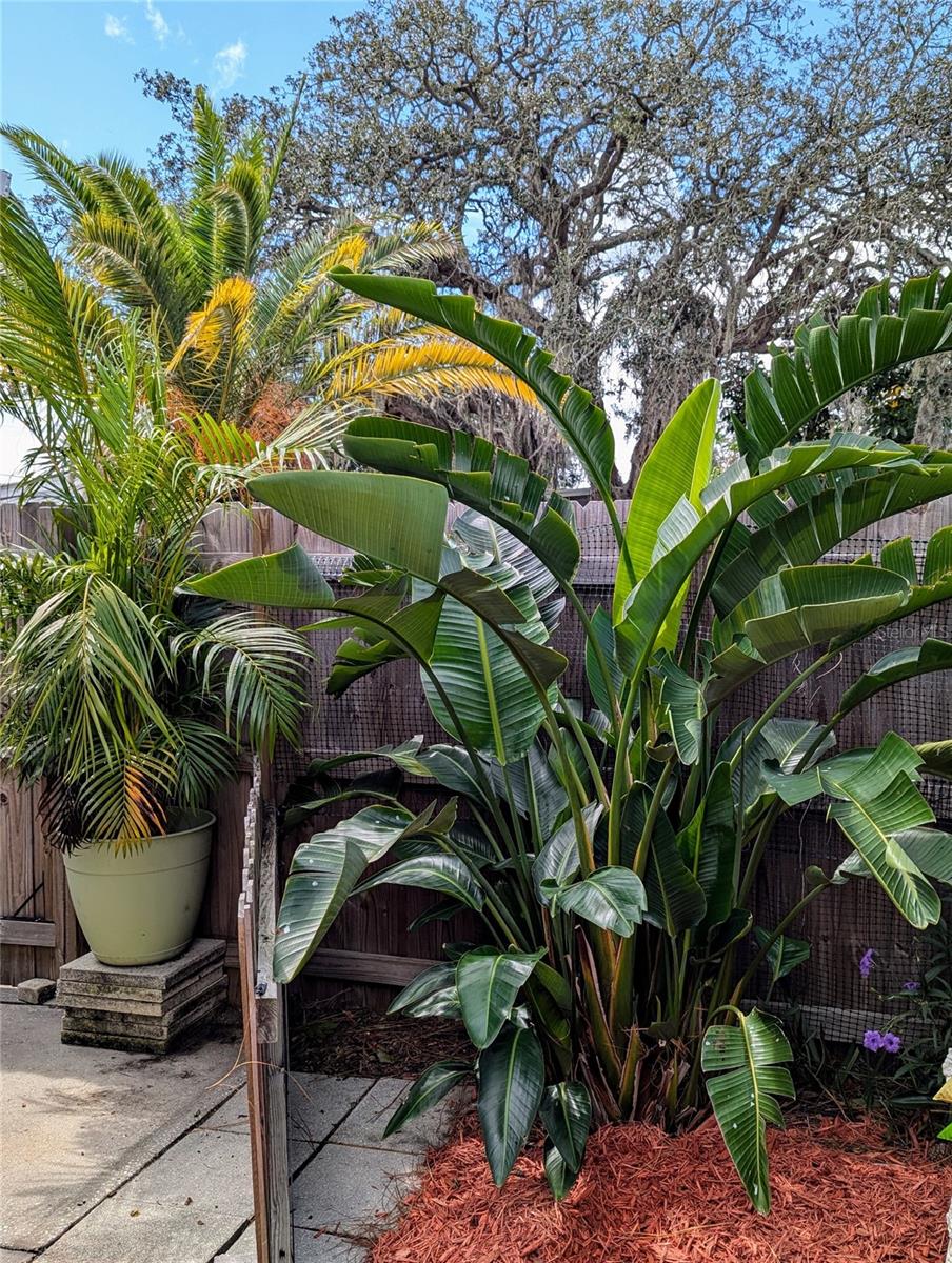 U8188988 Property Photo 22