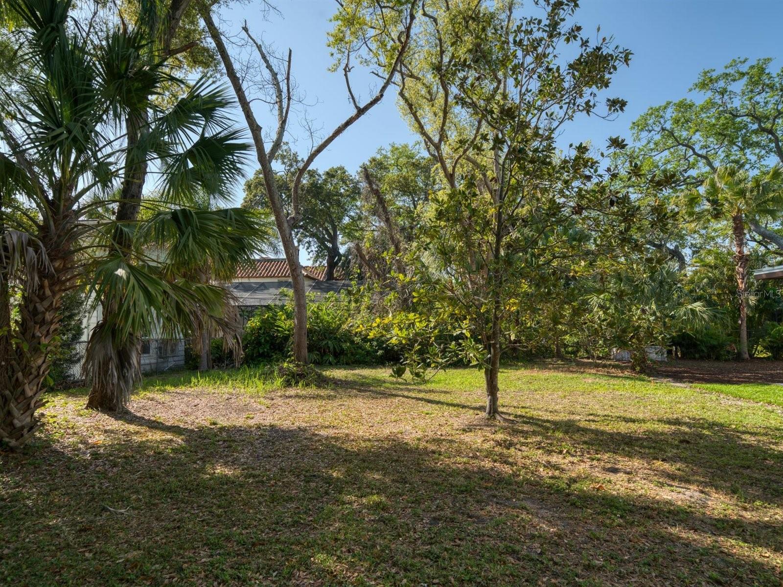 407 Jasmine Way Property Photo 19