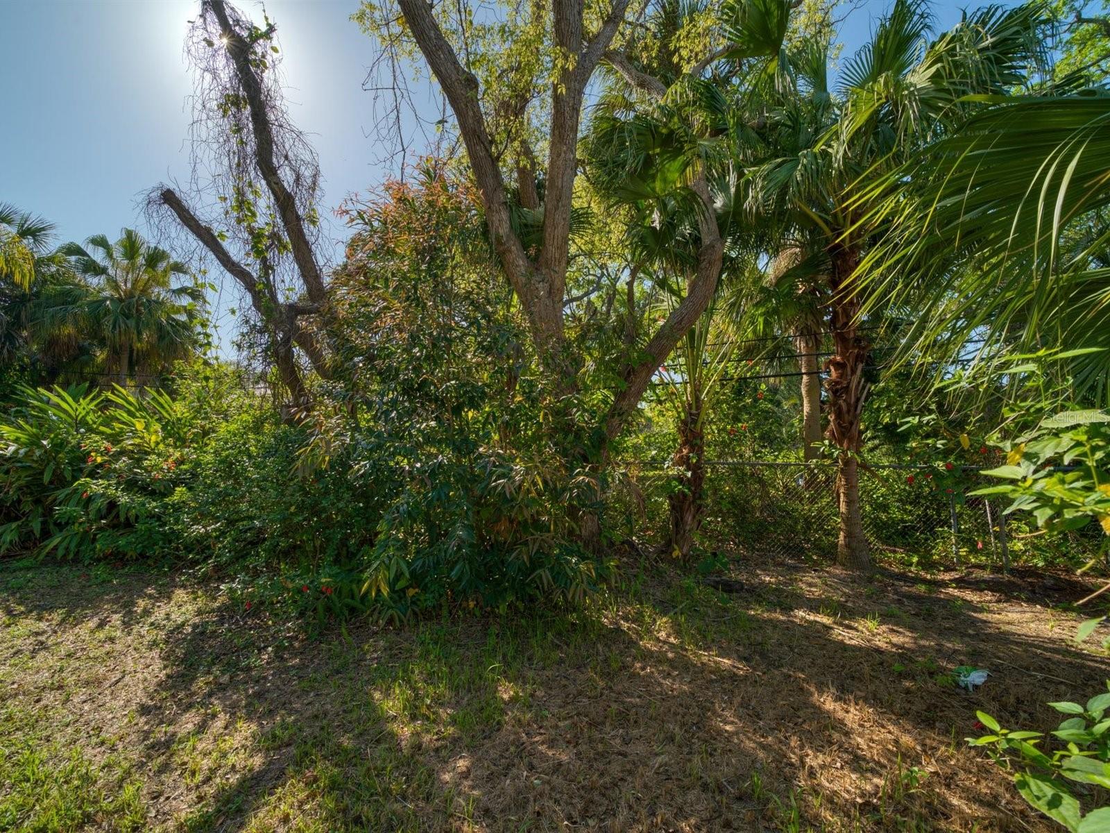 407 Jasmine Way Property Photo 23