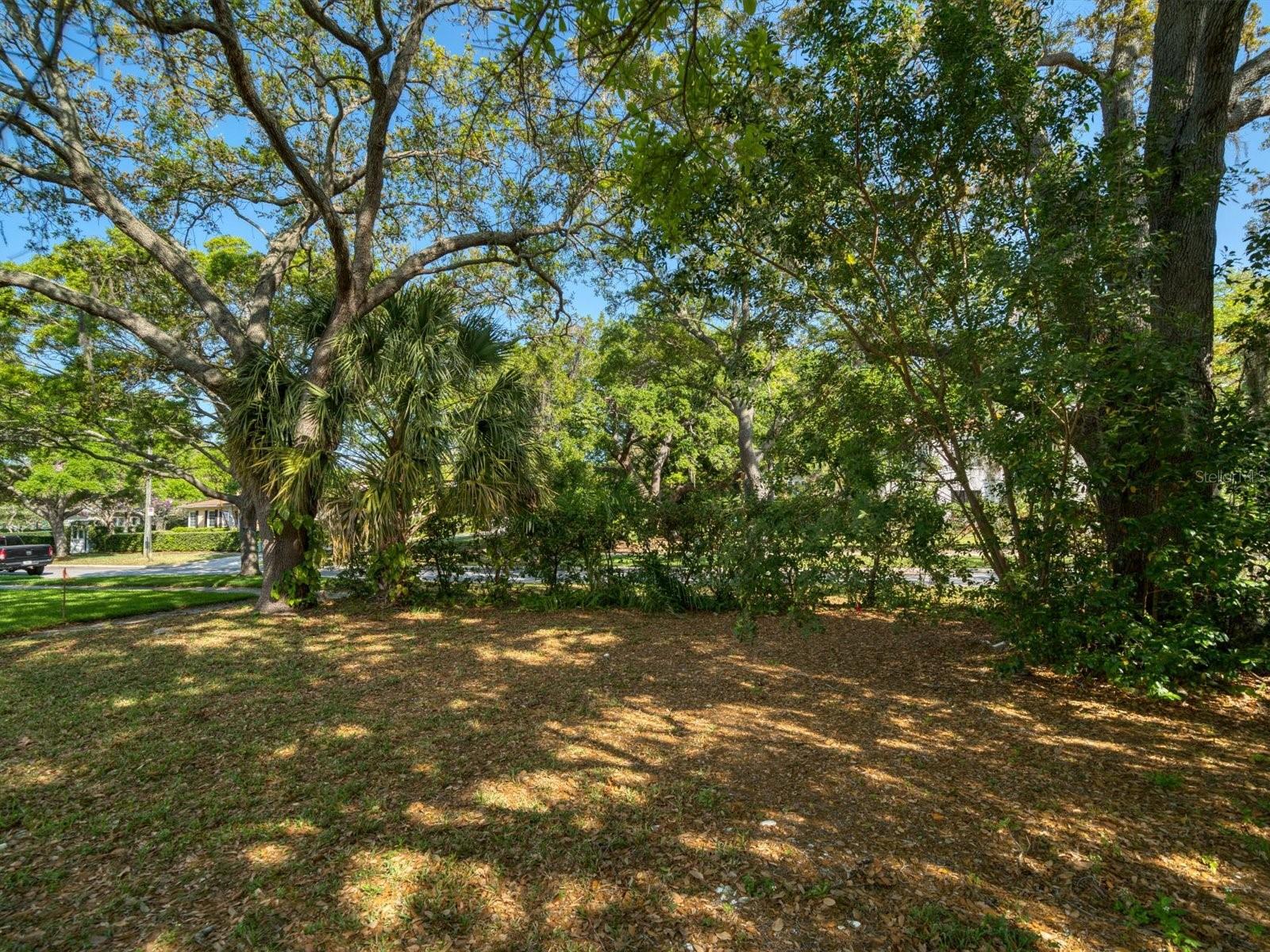 407 Jasmine Way Property Photo 24