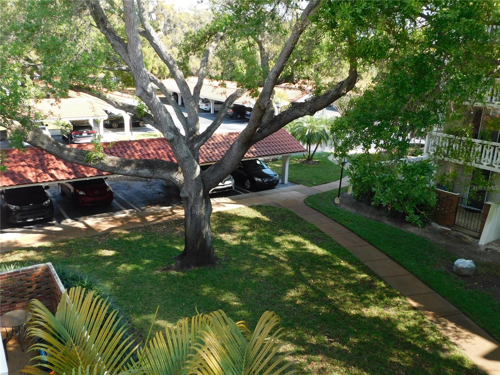 2612 Pearce Drive #308 Property Photo 11