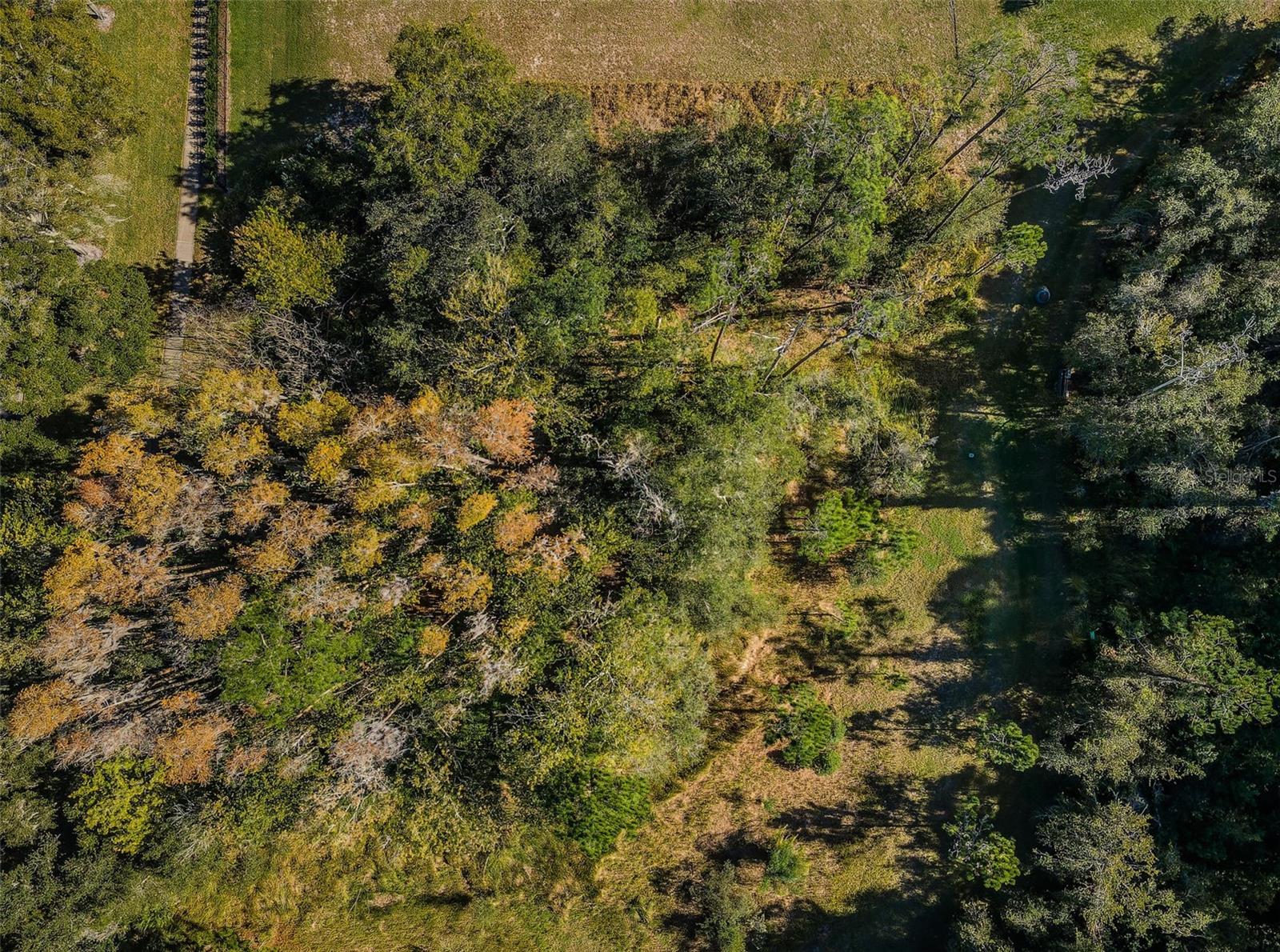 4390 Tarpon Lake Blvd Property Photo 10