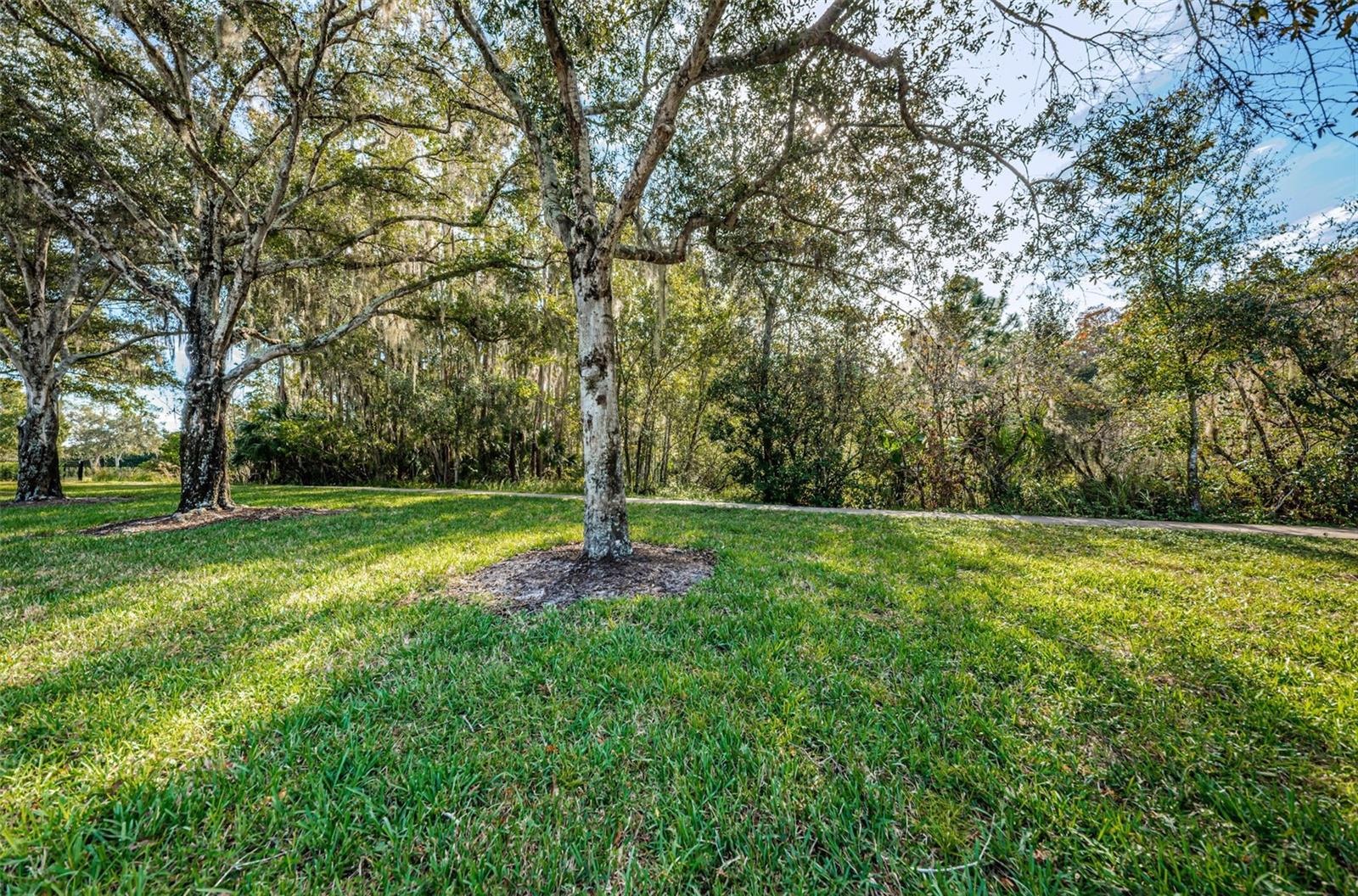 4390 Tarpon Lake Blvd Property Photo 11