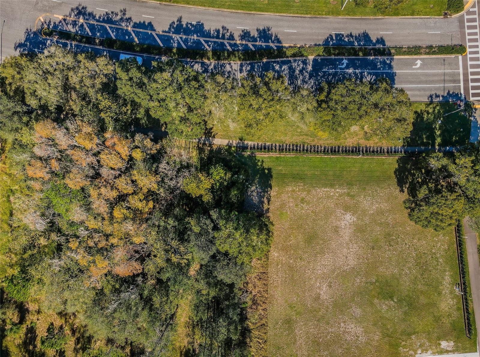 4390 Tarpon Lake Blvd Property Photo 19