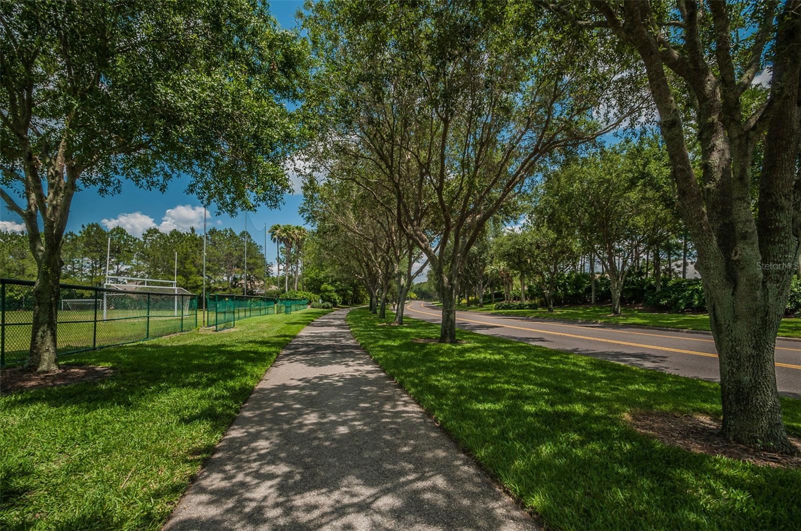 4390 Tarpon Lake Blvd Property Photo 23