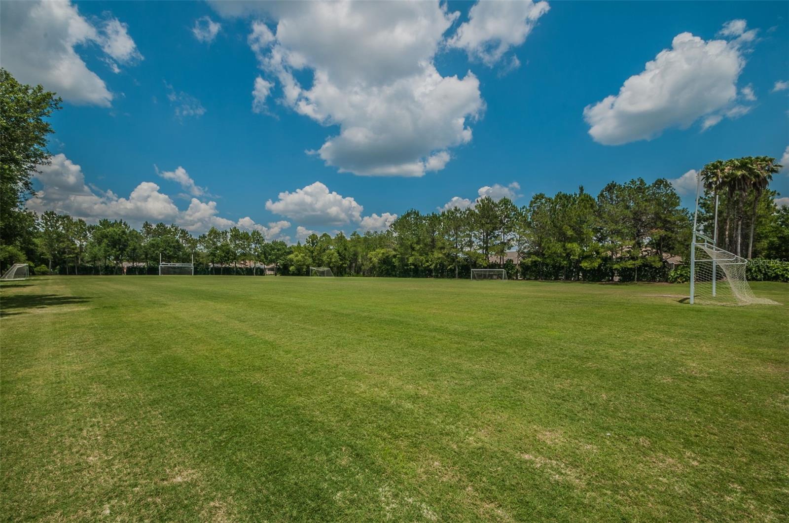 4390 Tarpon Lake Blvd Property Photo 27