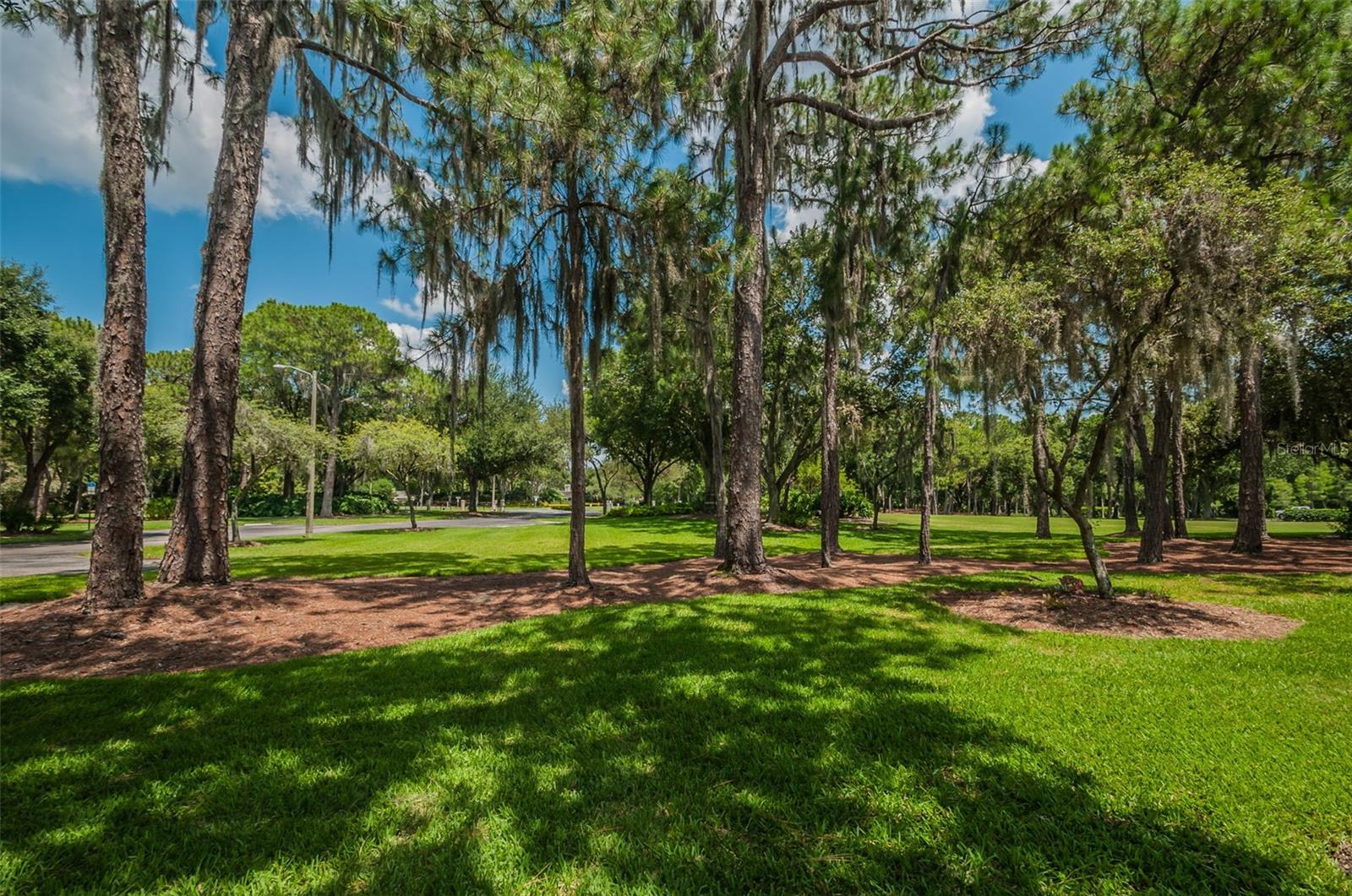4390 Tarpon Lake Blvd Property Photo 32