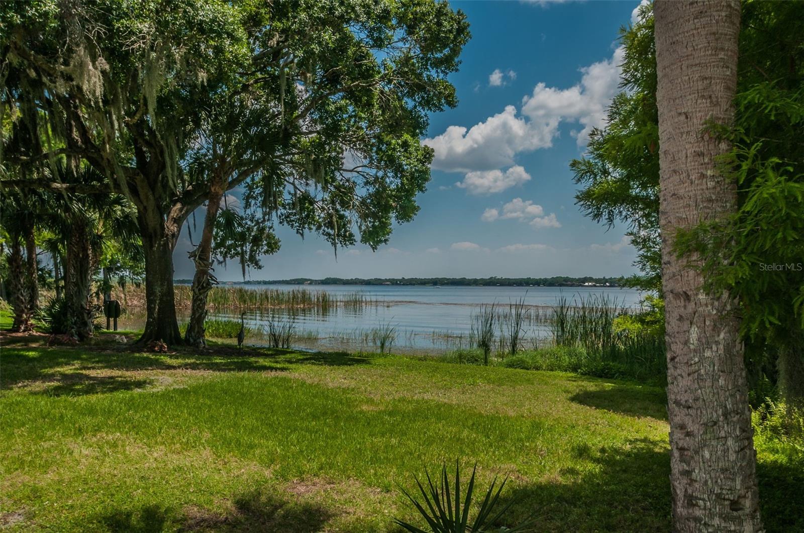 4390 Tarpon Lake Blvd Property Photo 38