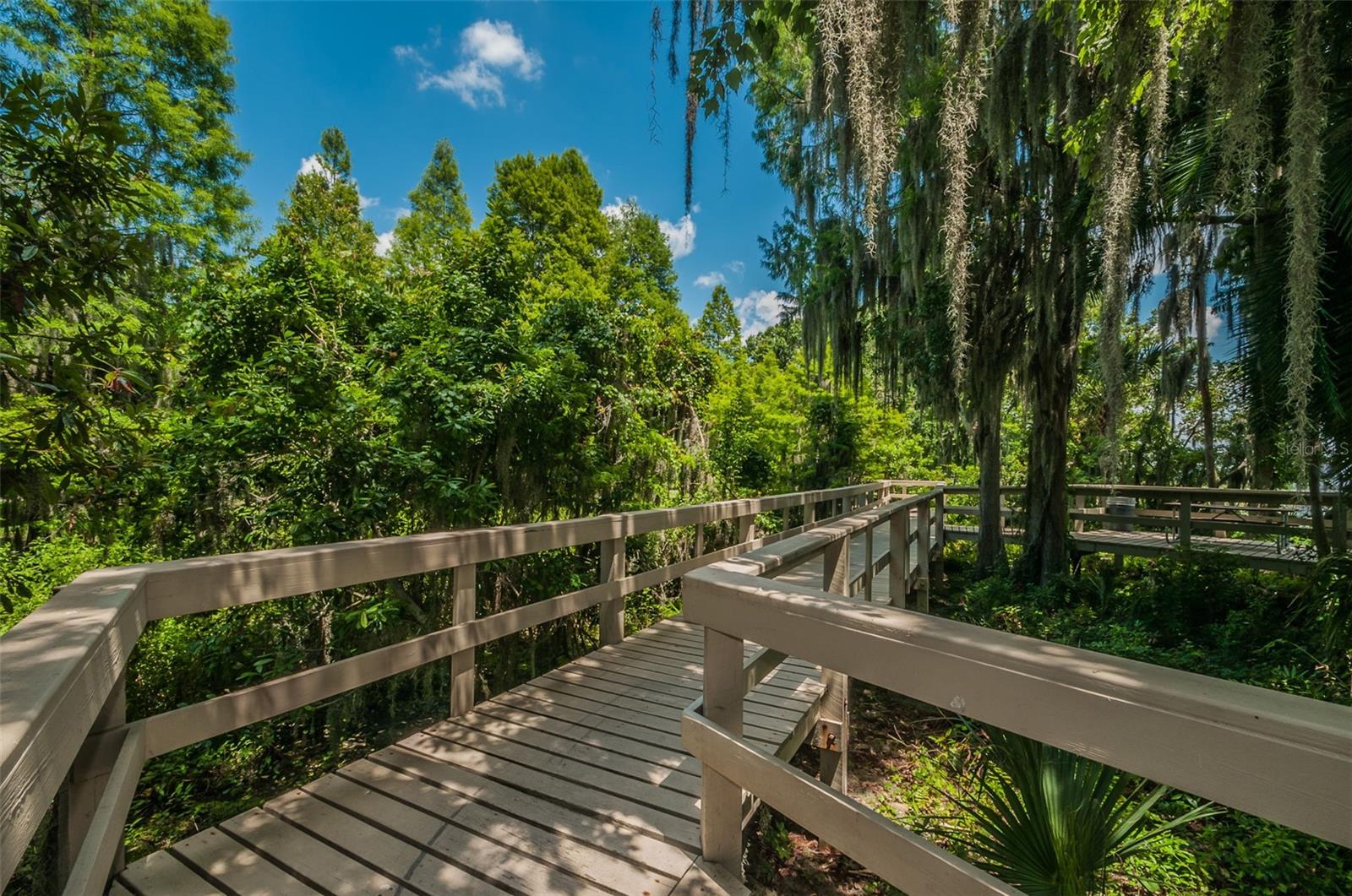 4390 Tarpon Lake Blvd Property Photo 44