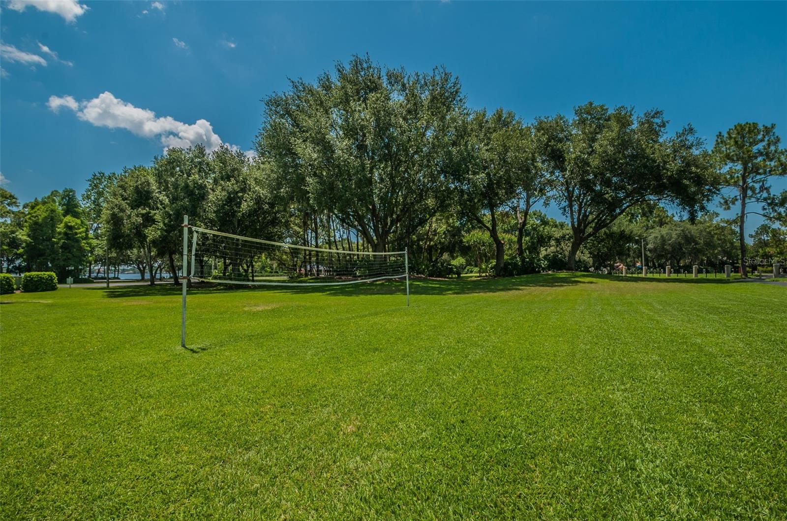 4390 Tarpon Lake Blvd Property Photo 54