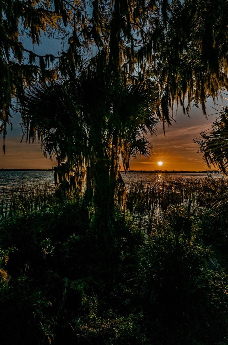 4390 Tarpon Lake Blvd Property Photo 61